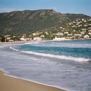 Appartement Le Lavandou, 1 Pièce, 4 Personnes - Fr-1-251-240